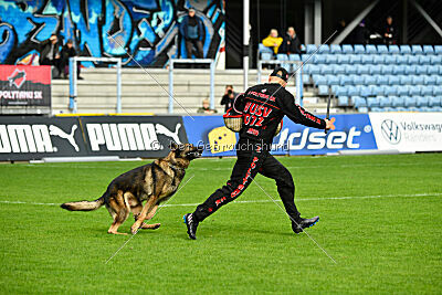 Life vom Kämpferherz