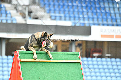 Life vom Kämpferherz