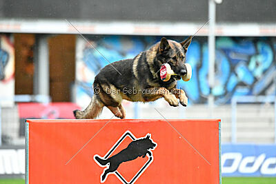 Life vom Kämpferherz