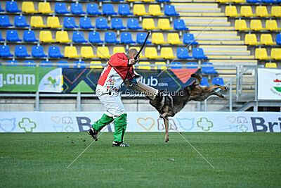 Life vom Kämpferherz