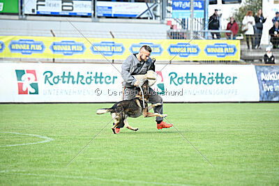 Life vom Kämpferherz