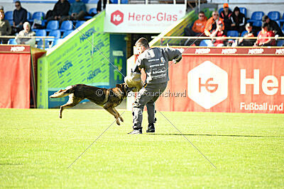 Life vom Kämpferherz