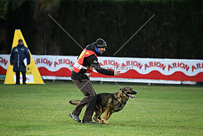 Life vom Kämpferherz