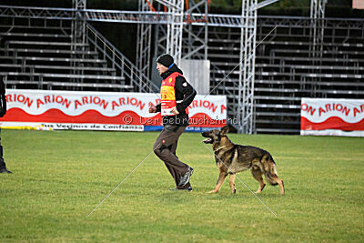 Life vom Kämpferherz