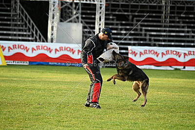 Life vom Kämpferherz