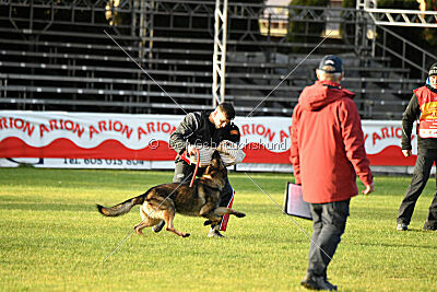 Life vom Kämpferherz