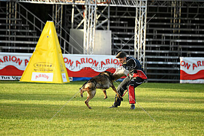 Life vom Kämpferherz