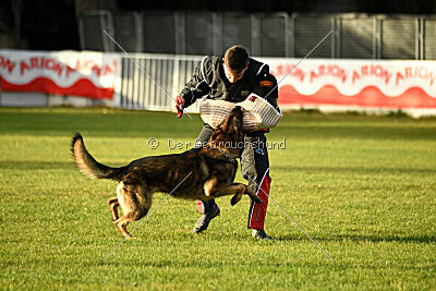 Life vom Kämpferherz