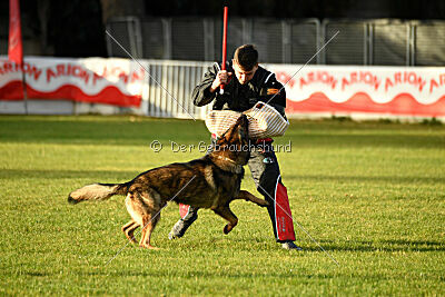 Life vom Kämpferherz