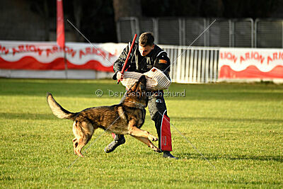 Life vom Kämpferherz