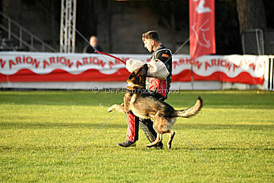 Life vom Kämpferherz