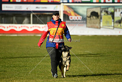 Limmet z údolí Úpy