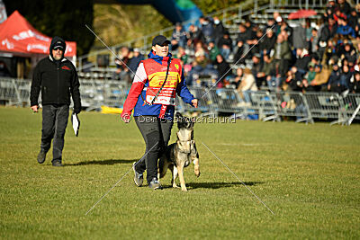 Limmet z údolí Úpy