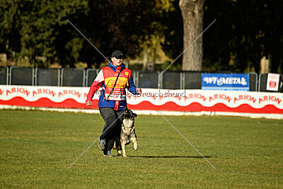 Limmet z údolí Úpy