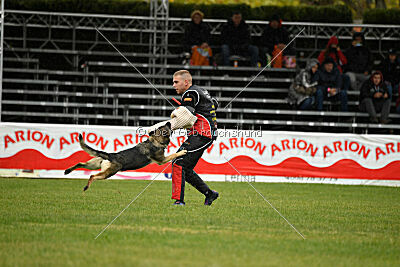 Limmet z údolí Úpy