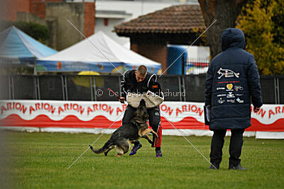 Limmet z údolí Úpy