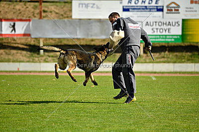 Little Joe von Trogida