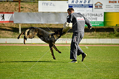 Little Joe von Trogida