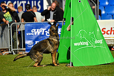 Little Joe von Trogida