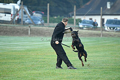Liyan vom Schwarzen Grat