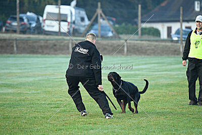 Liyan vom Schwarzen Grat