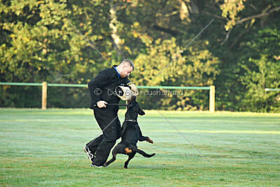 Liyan vom Schwarzen Grat