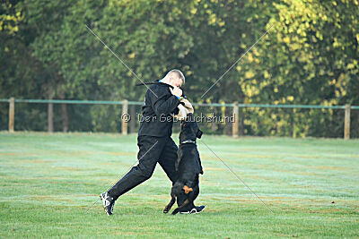 Liyan vom Schwarzen Grat