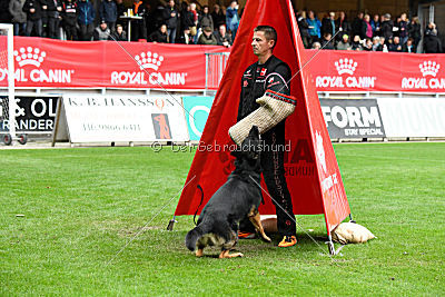 Logan von Berg Israel