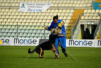 Logan von Berg Israel