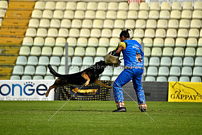 Logan von Berg Israel