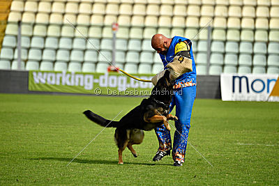 Logan von Berg Israel