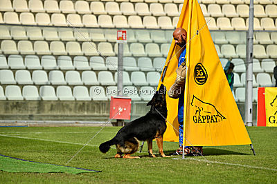 Logan von Berg Israel