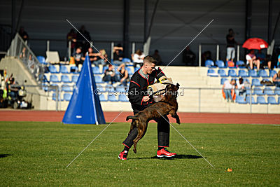 Lomme van de Hazenberg