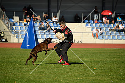 Lomme van de Hazenberg