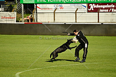 Loomee vom Tollhaus