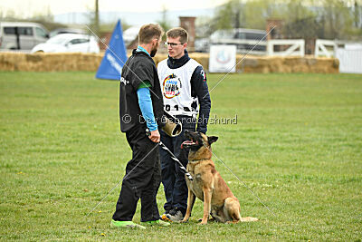 Lorckko au Paradis D'Orsy