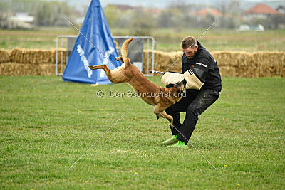 Lorckko au Paradis D'Orsy