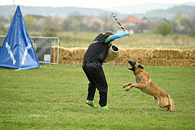 Lorckko au Paradis D'Orsy