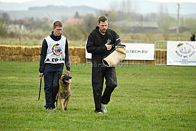 Lorckko au Paradis D'Orsy