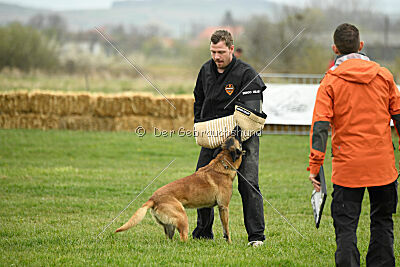 Lorckko au Paradis D'Orsy