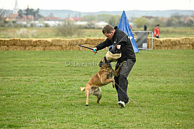 Lorckko au Paradis D'Orsy