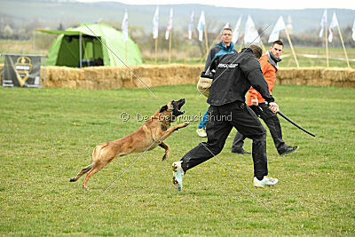 Lorckko au Paradis D'Orsy
