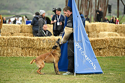 Lorckko au Paradis D'Orsy