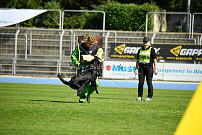 Lotte vom Eisernen Kreuz