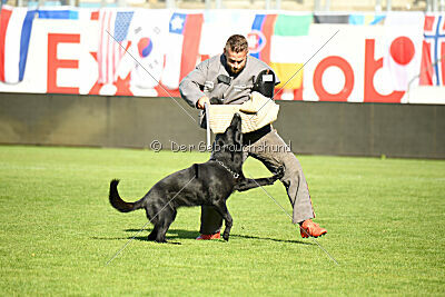 Loza Hundehaus Sandgrube