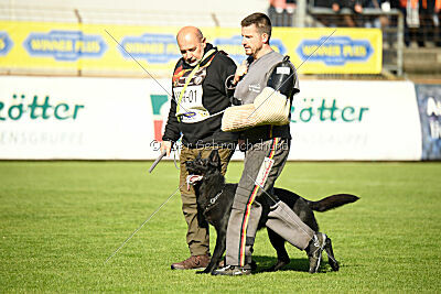 Loza Hundehaus Sandgrube