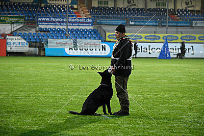 Loza Hundehaus Sandgrube