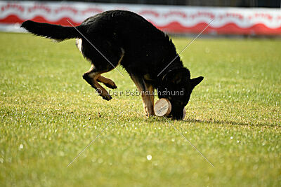 Luca von Djipy's Haus