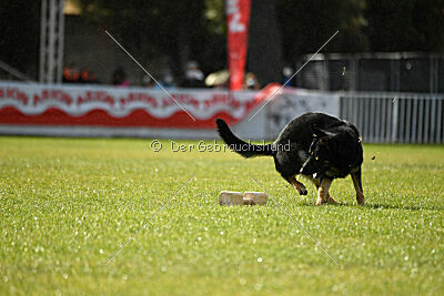 Luca von Djipy's Haus