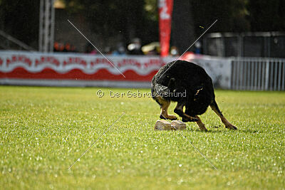Luca von Djipy's Haus